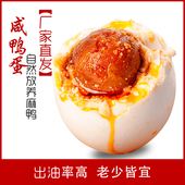 新晨特大咸鸭蛋70g 熟制10枚散装 流油起沙非海鸭蛋工厂直供