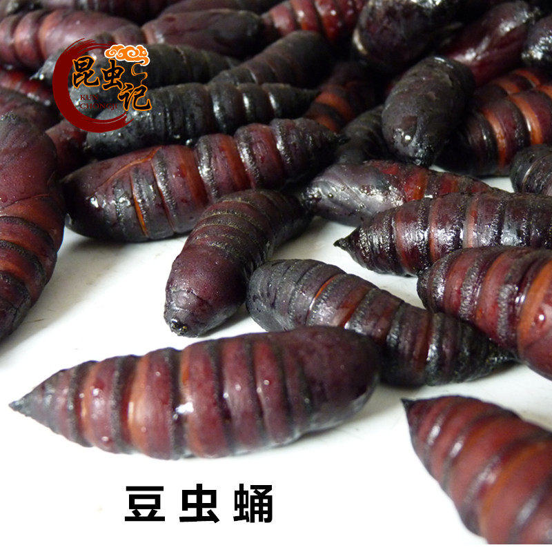 豆虫蛹新鲜冷冻发货大豆虫蛹豆丹蛹昆虫记高蛋白500克