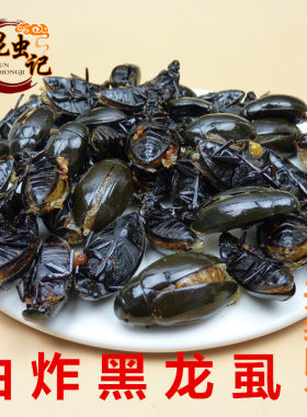 黑龙虱昆虫记宴金边龙虱炸虫子