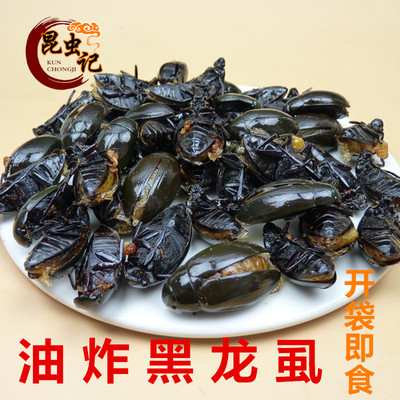 黑龙虱昆虫记宴金边龙虱炸虫子