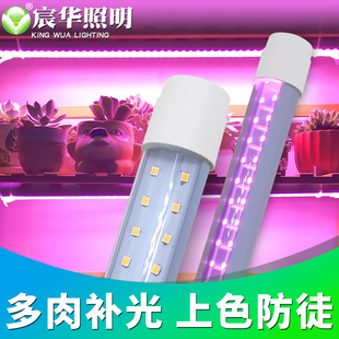 宸华T8led多肉植物补光生长大排灯全光谱绿植蔬菜花卉育苗110V220