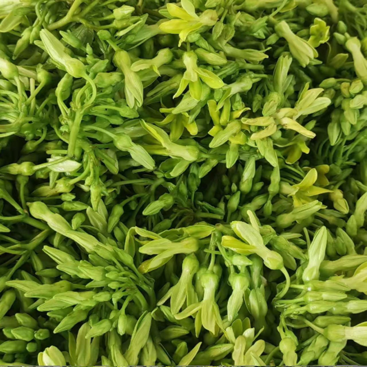 玉林新鲜蔬菜 夜来香 枸杞叶 其它