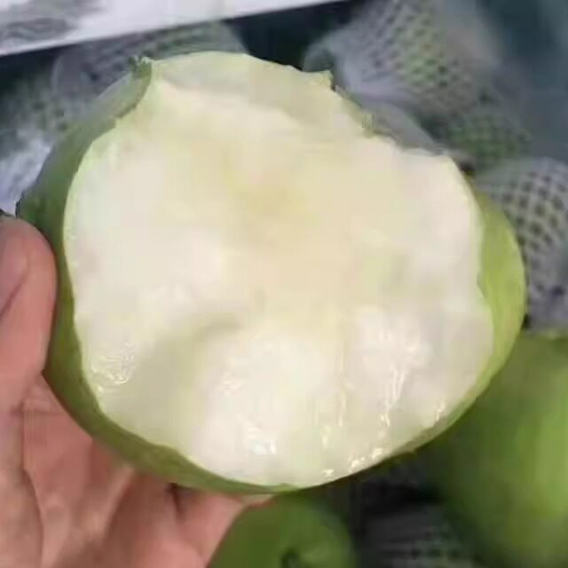 陕西白水新鲜水果梨子玉露香梨早熟梨5斤包邮