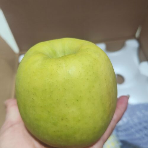 臻恬然白水苹果白水瑞雪瑞香红