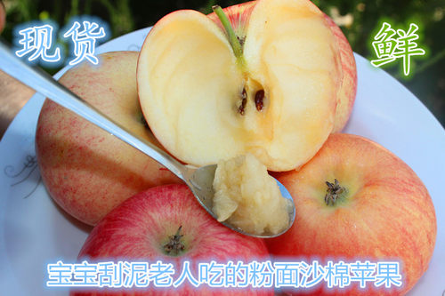 粉面沙甜苹果宝宝刮果泥老人吃