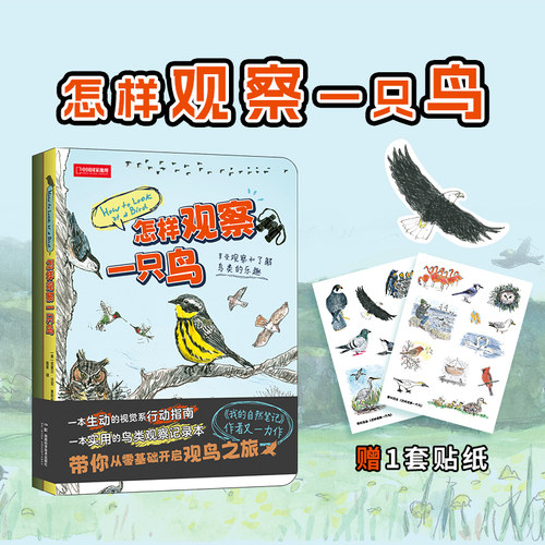 怎样观察一只鸟 克莱尔·沃克·莱斯利新作彩铅画鸟类观察科普读物