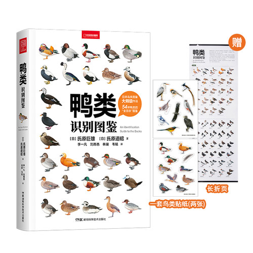 鸭类识别图鉴中国国家地理鸭宝书