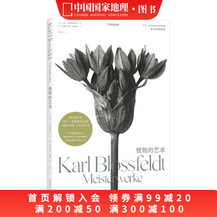 艺术 植物 卡尔·布洛斯菲尔德摄影画册植物摄影照片