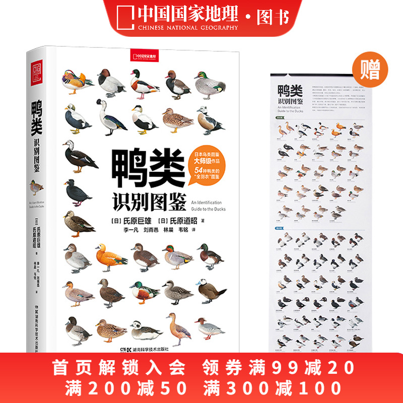 鸭类识别图鉴中国国家地理鸭宝书