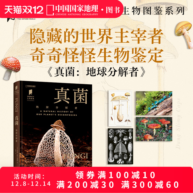 真菌：地球分解者中国国家地理