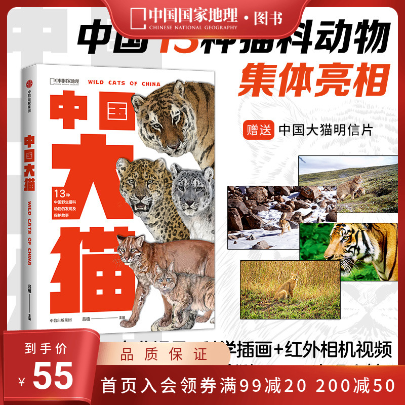 中国大猫猫图鉴猫百科全书科普