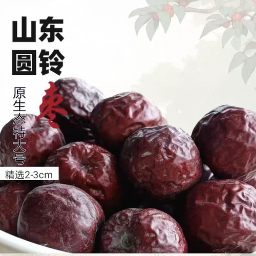 新货山东圆铃枣原树未加工