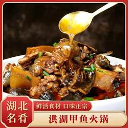 秘制洪湖红烧甲鱼火锅袋装即食红烧熟食滋补下酒懒人方便菜特产