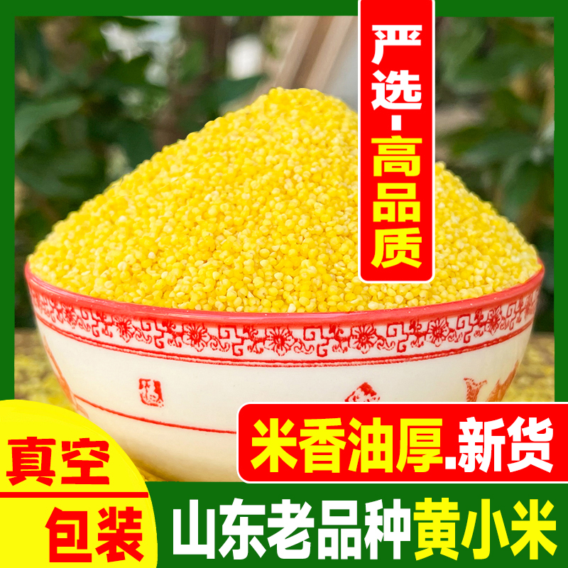 2025年当季沂蒙山黄小米香糯粘稠