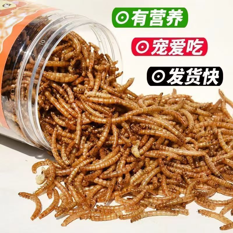 仓鼠零食营养面包虫干增肥提升高蛋白鸟类粮乌龟粮食仓鼠黄粉虫干