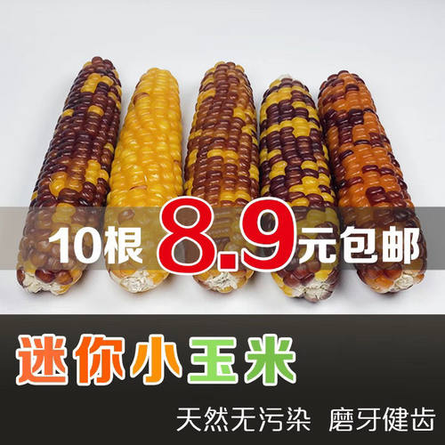 包邮仓鼠磨牙棒小玉米零食小玉米金丝熊花枝鼠兔子龙猫磨牙玉米棒