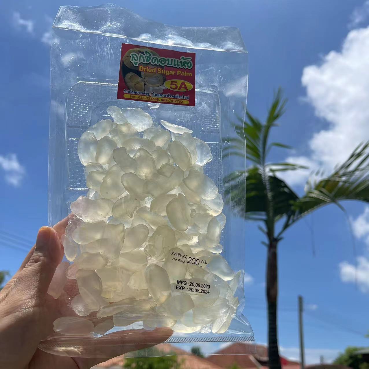 新到货泰国新鲜清迈特产零食棕榈果亚答子干果满百炖甜品干吃