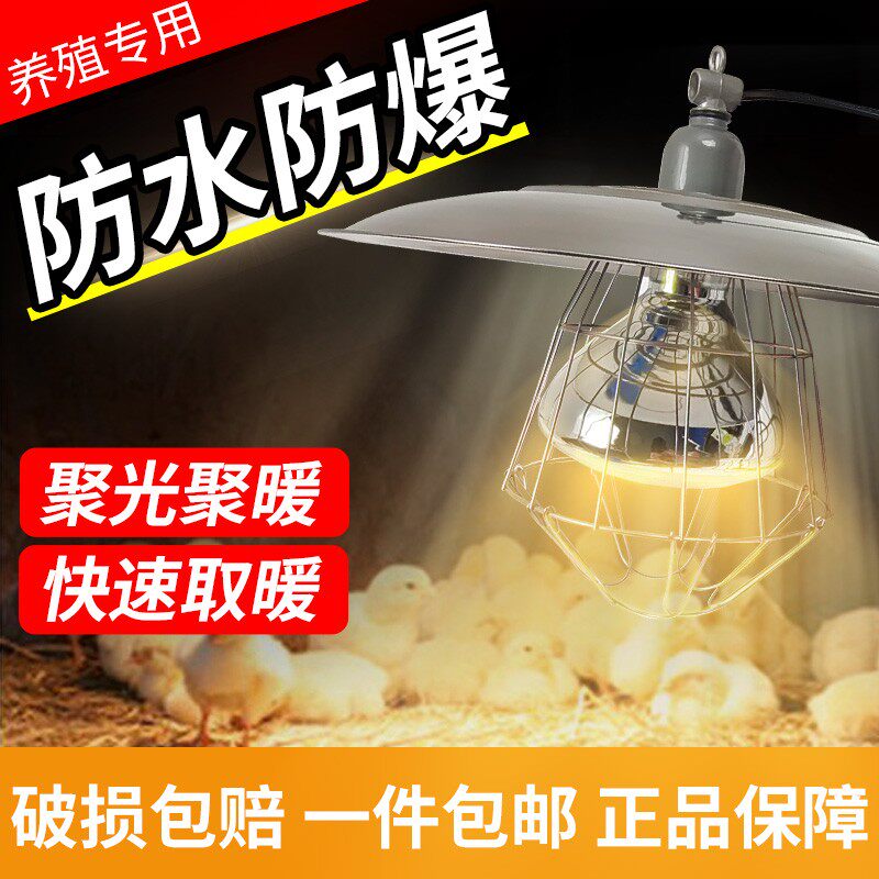 保温灯养殖场专用灯罩小鸡育雏套装小猪保暖保护罩取暖灯加热灯泡