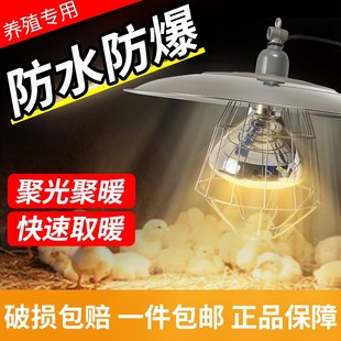 保温灯养殖场专用灯罩小鸡育雏套装小猪保暖保护罩取暖灯加热灯泡