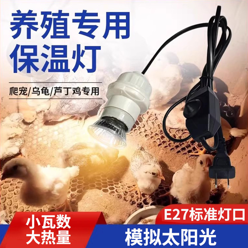 芦丁鸡保温灯小鸡育雏取暖灯泡图片