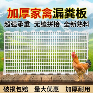 鸡粪漏粪板家禽兔子塑料脚垫鸡鸭鹅鸽子用漏屎地垫家禽漏粪网地板