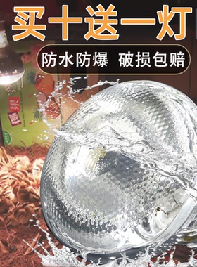 猪用保温灯养殖场专用小鸡育雏保暖设备猪场加温加热烤灯取暖灯泡