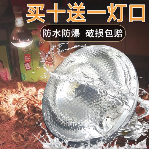 小鸡育雏养殖场仔猪保温灯