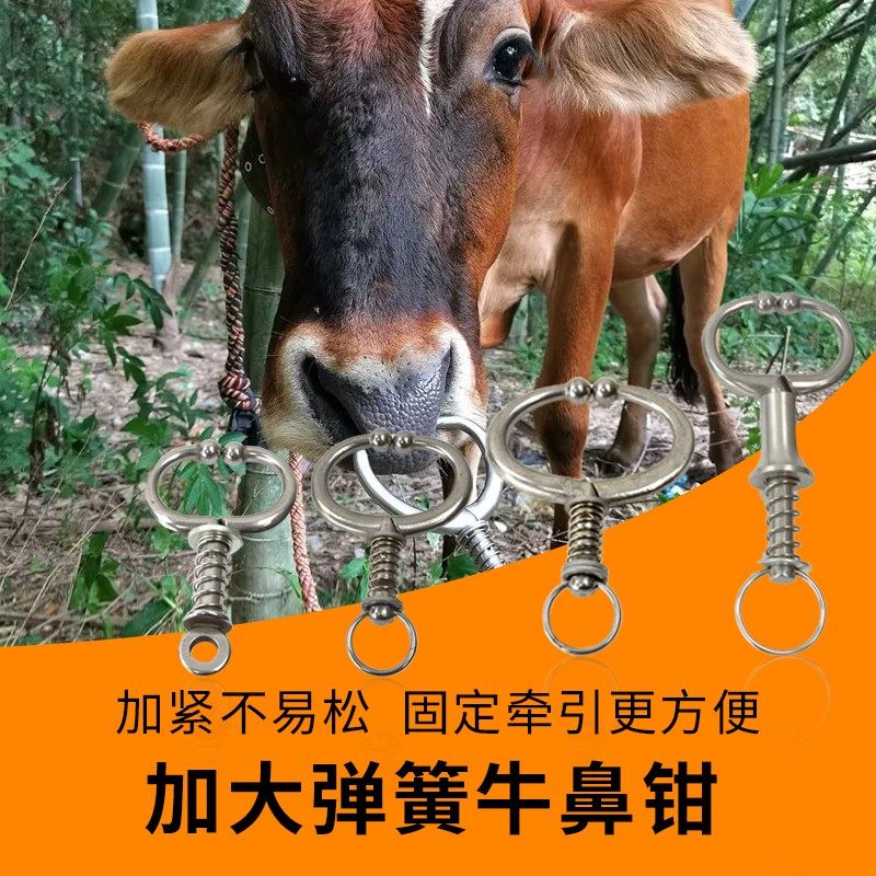 牛鼻钳牛鼻环牛鼻圈不锈钢大号牛鼻夹子金属免打孔钳牵引养牛设备,畜牧/养殖物资,畜牧/养殖器械,淘宝优惠券,粉丝福利购,淘宝优惠卷
