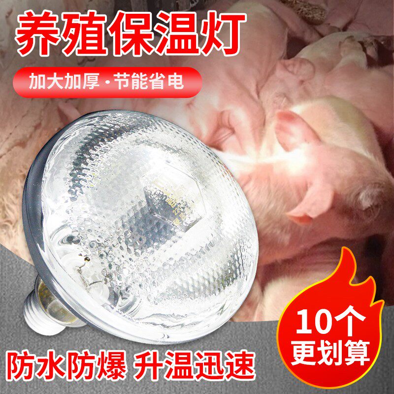 保温灯猪用保暖灯养殖场专用鹦鹉仔猪发热烤灯猪小鸡育雏取暖灯泡
