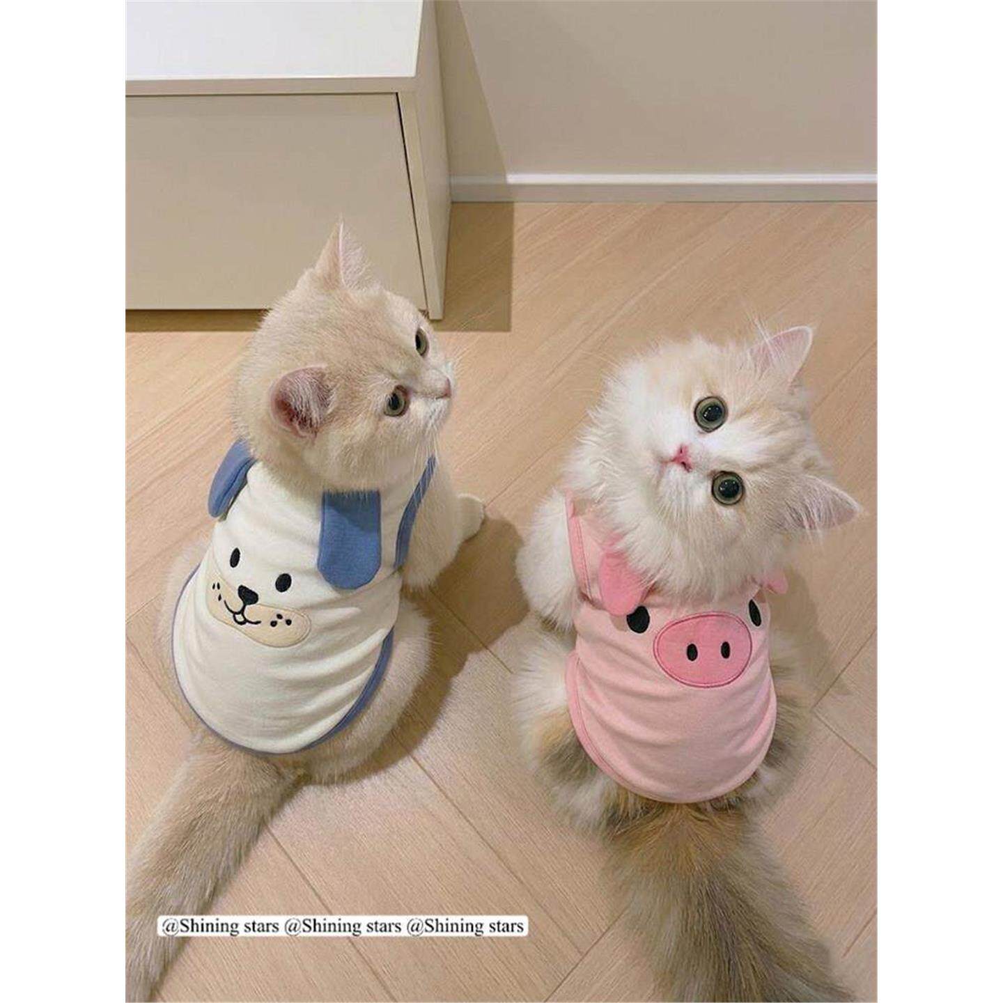 猫咪小猫可爱衣服春夏薄款防掉毛透气背心好看的宠物衬衫服装服饰