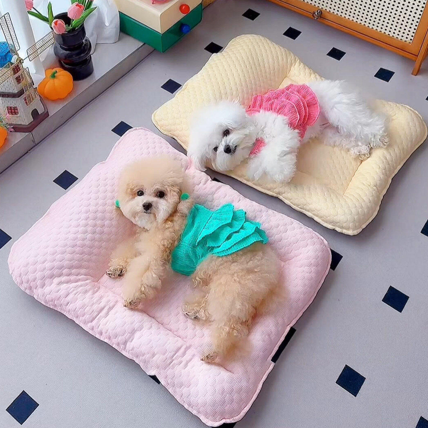 狗狗睡垫宠物冰垫夏季狗窝降温神器冰豆豆凉席比熊小型犬猫咪垫子
