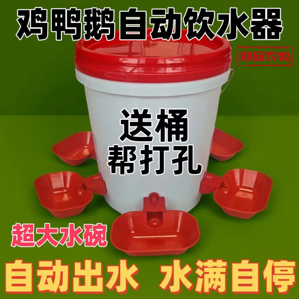 家禽自动饮水器鸽子养鸡