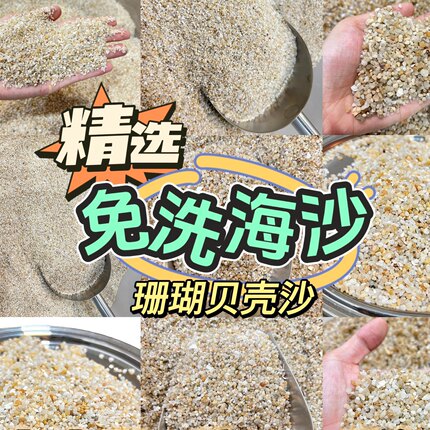 天然免洗海沙鱼缸造景砂寄居蟹贝壳海缸专用沙沙蟹沙造景摆件沙子