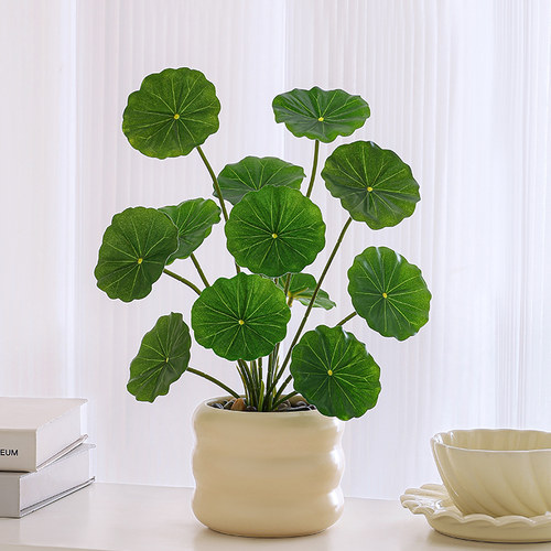 仿生绿植假植物拍摄道具装饰摆件