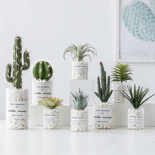 小盆栽绿植物办公桌面北欧风