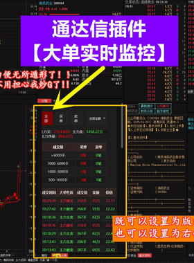 分时主力资金流向实时大单监控主力追踪右键L2逐笔通达信版面插件