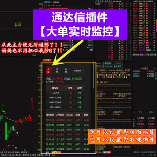 分时主力资金流向实时大单监控主力追踪右键L2逐笔通达信版面插件