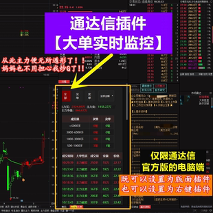 分时主力资金流向实时大单监控主力追踪右键L2逐笔通达信版面插件