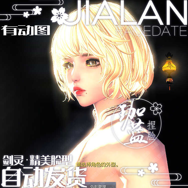 【珈蓝】剑灵捏脸 天女脸型数据 国服韩服国际服BNS私服可用 生生