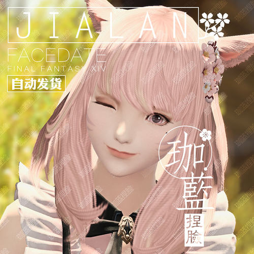珈蓝最终幻想捏脸数据脸型月猫娘