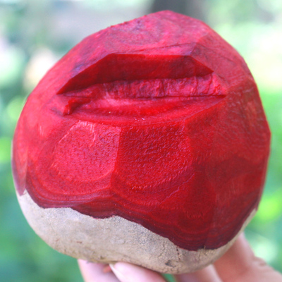 现挖甜菜根紫皮甜菜头榨汁菜水果