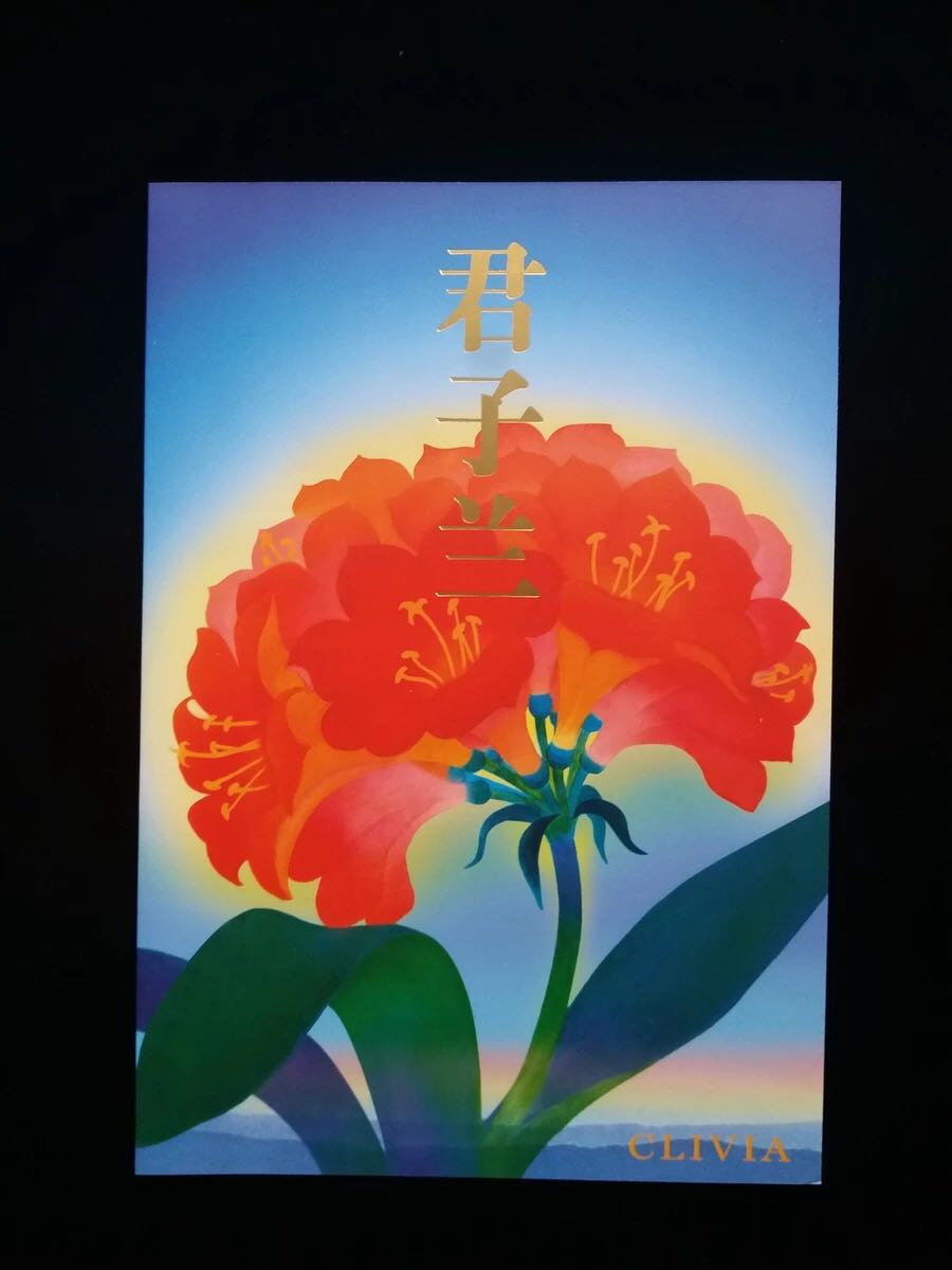 君子兰特种邮票中国集邮邮局正品