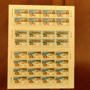 2007-19《南鹿列岛自然保护区》南麓大版原胶全品  邮局正品 保真