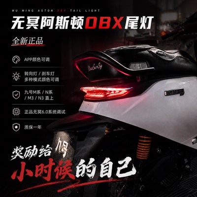 九号M/N系直上阿斯顿尾灯APP可调