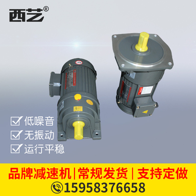 立式小金刚齿轮减速机200W