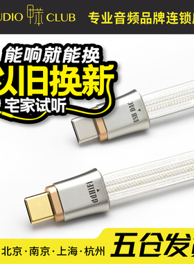 ddHiFi TC19CC 双USB-C HIFI双屏蔽解码纯银音频信号升级线