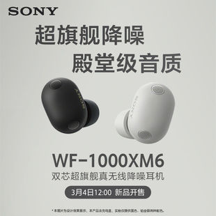 新品预售 Sony/索尼WF-1000XM6 双芯超旗舰降噪真无线耳机