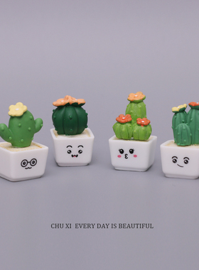 迷你仙人掌多肉树办公桌面摆件