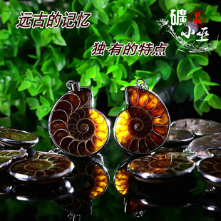 保真一对大号螺化石菊石古生物螺情侣吊坠饰品矿物diy配件送链子