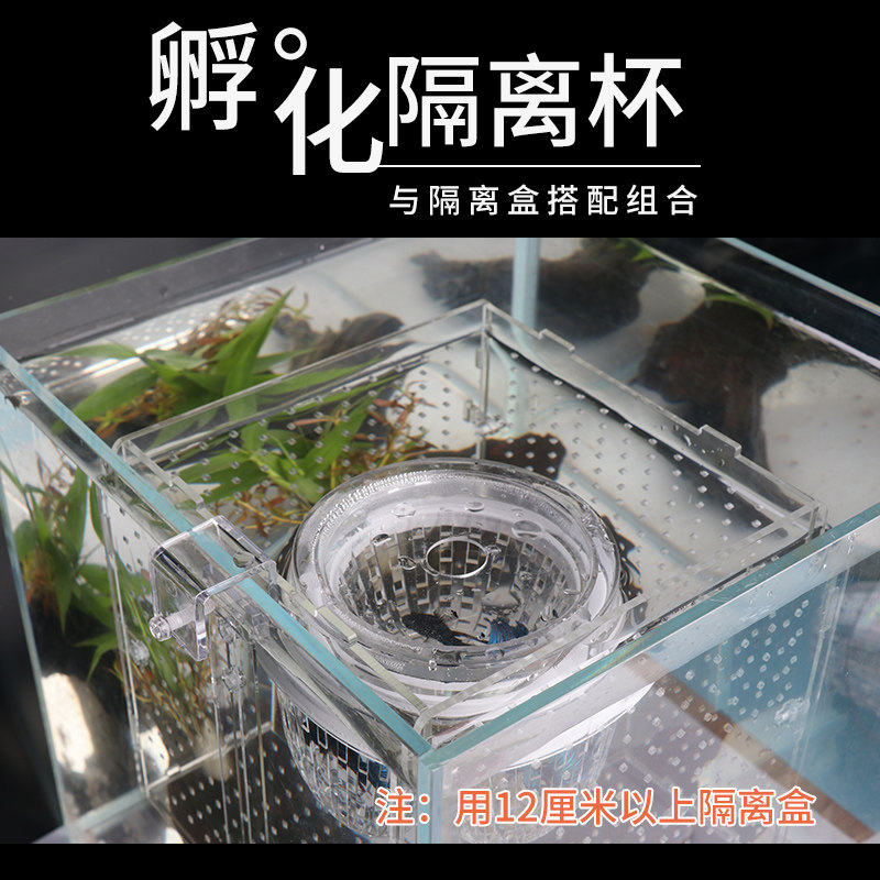 鱼缸孔雀鱼繁殖盒鱼缸隔离盒小鱼幼鱼母鱼产房鱼孵化盒(1mm孔)